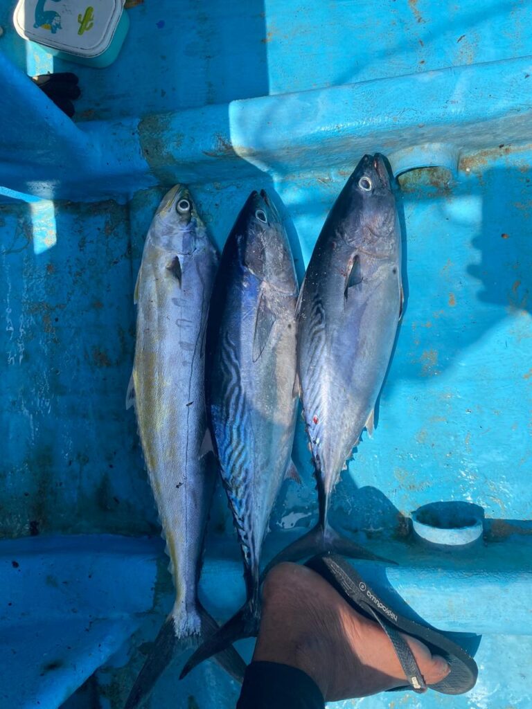 whatsapp image 2026 02 27 at 2.03.16 pm (6)