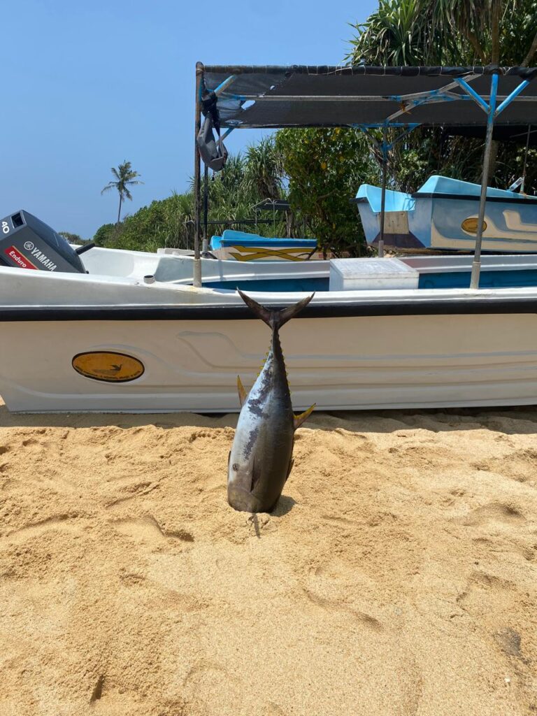 whatsapp image 2026 02 27 at 2.03.18 pm (2)